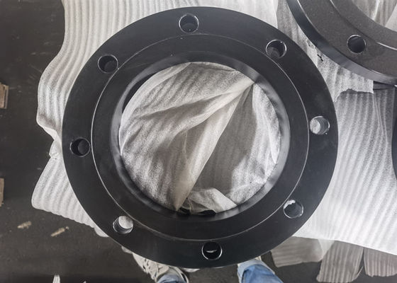 Dn200 Asme/Astm A105 스테인리스 304l 플랜지 검정 페인트